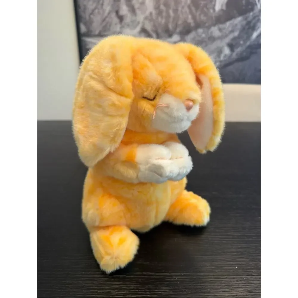 Ty nwt never